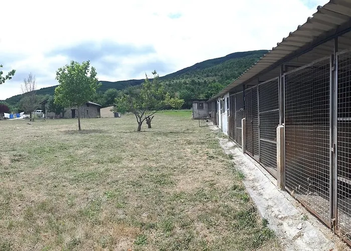 A'noguera Vandrerhjem *